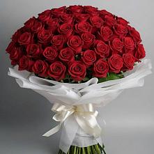 Букет 101 Красная роза Блэк Мэджик в Шелкозаводской