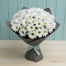 Букет цветов из:  Хризантемы в Шелкозаводской