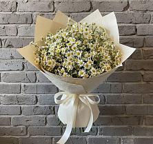 Букет цветов из:  Ромашки в Шелкозаводской