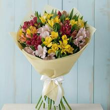 Букет цветов из:  Альстромерии в Шелкозаводской