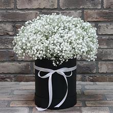 Цветочная композиция из Гипсофила в шляпной коробке #REPLACE_PRED# Шелкозаводской