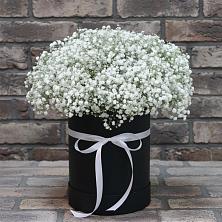 Цветочная композиция из Гипсофила в шляпной коробке в Шелкозаводской