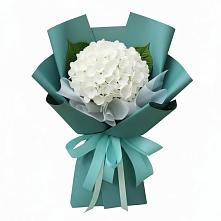 Букет цветов из:  Гортензия в Шелкозаводской